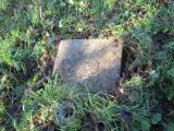 image of grave number 679597